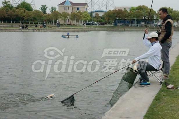 ftt钓鱼比赛视频