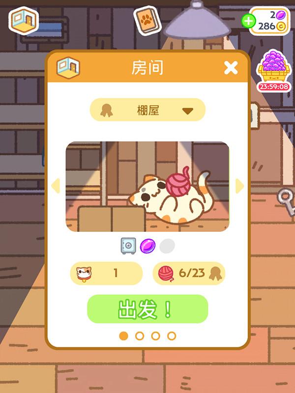 最新小偷猫动态揭秘，猫咪奇特行为与习性的探索