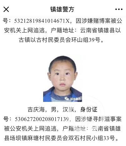 云南逃犯最新动态更新