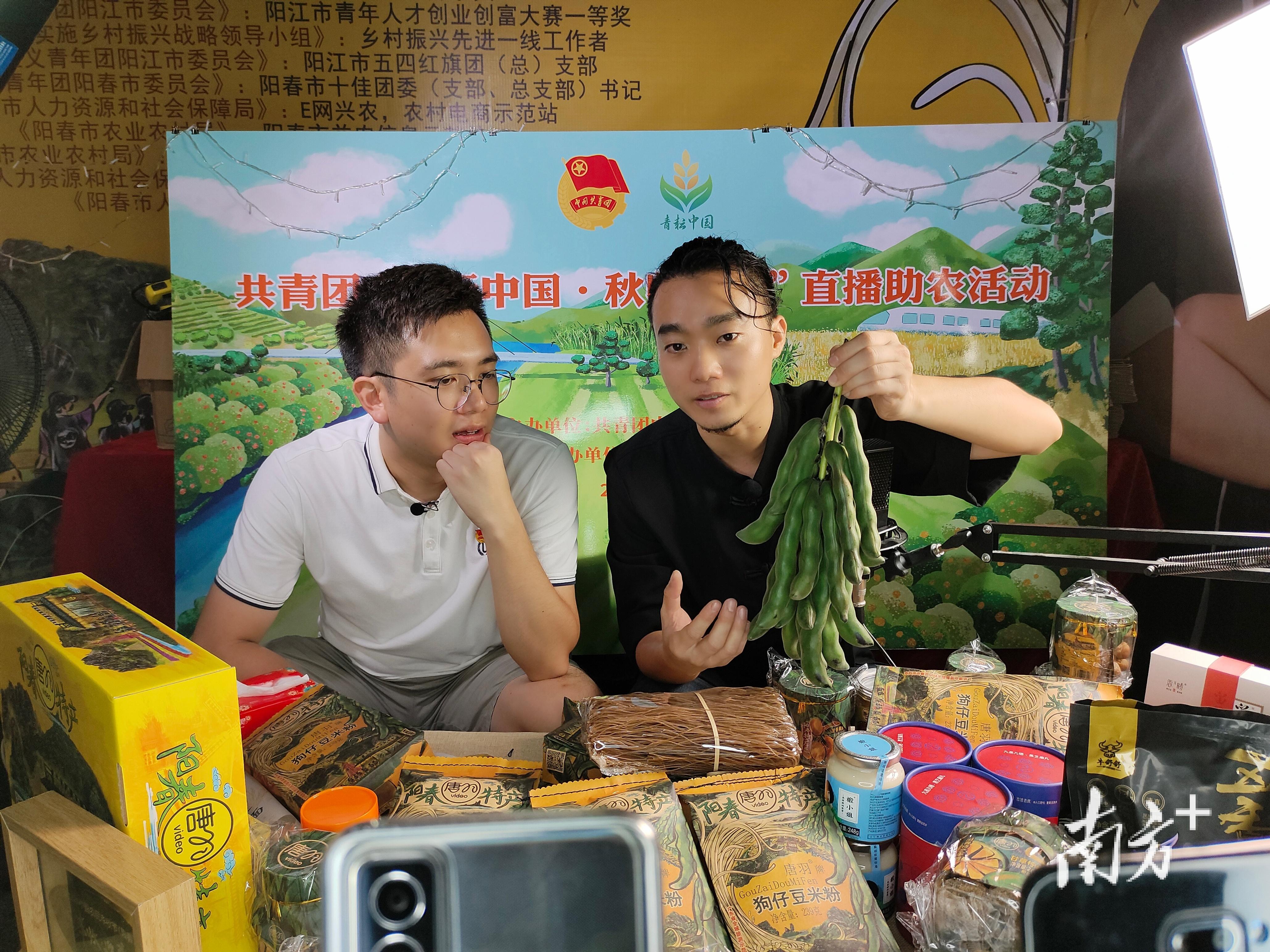 阳江人才网最新招聘信息汇总🌟