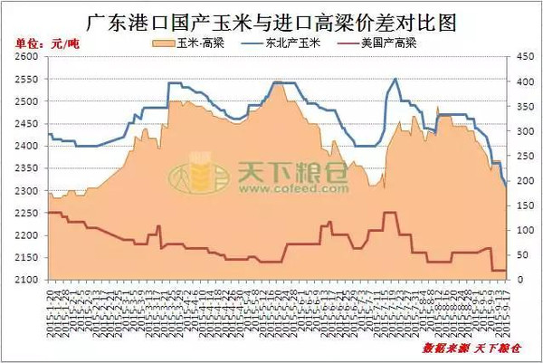 江苏大麦最新行情揭秘，巷弄深处的麦香探秘之旅