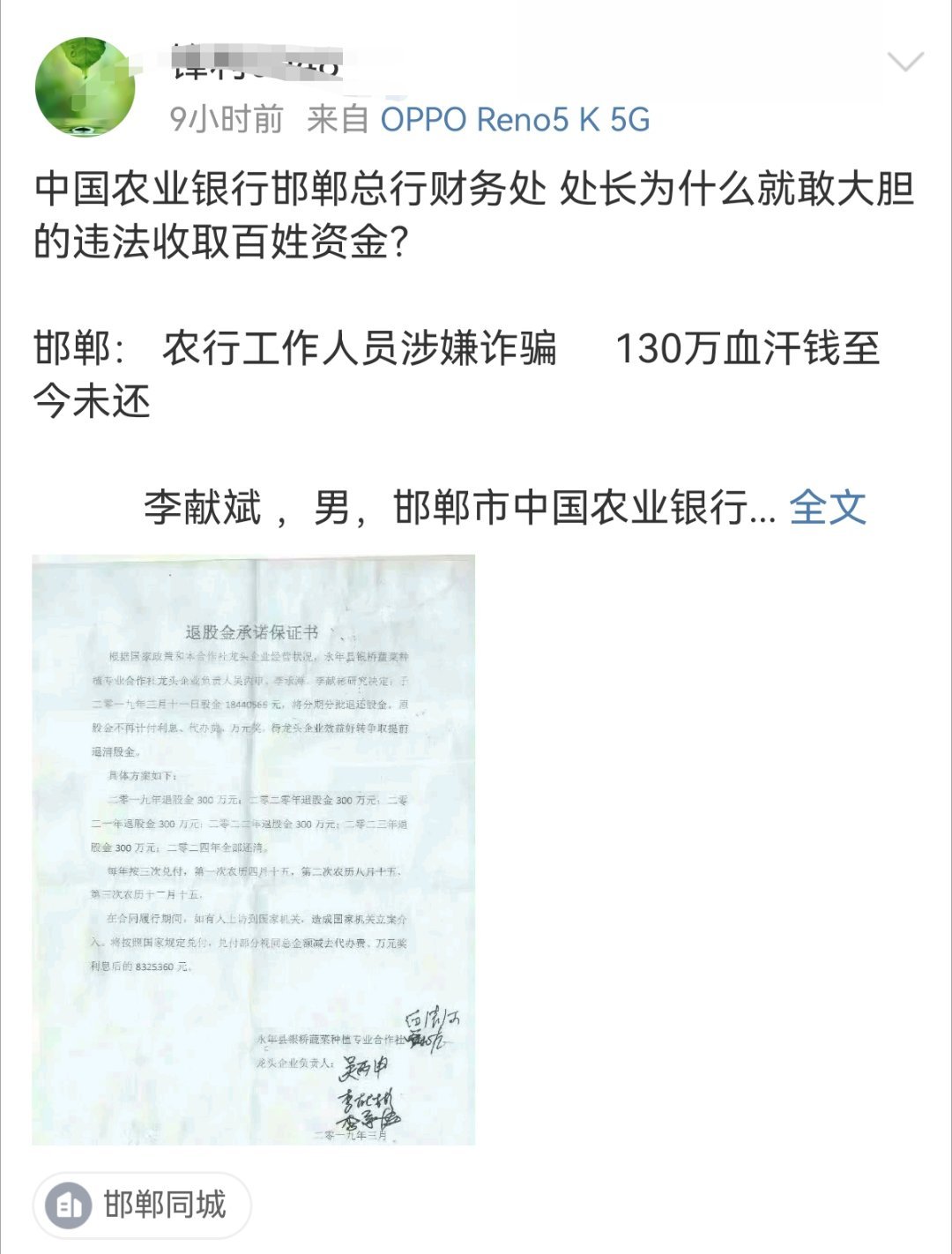 邯郸非法集资最新进展，自然美景中的治愈与反思之旅