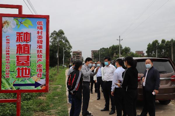 化州市杨梅镇最新动态，温馨日常与友情陪伴的甜蜜故事